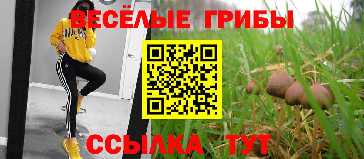 Сызрань  Галлюциногенные грибы мицелий  Вход с VPN 